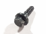 View Flange screw Full-Sized Product Image 1 of 9